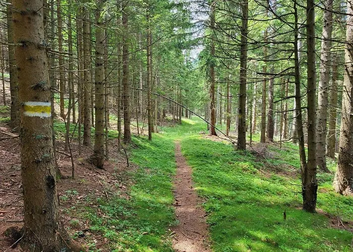 Tinyhaus To Go Ferienhaus